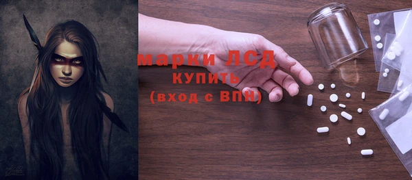 стаф Арсеньев