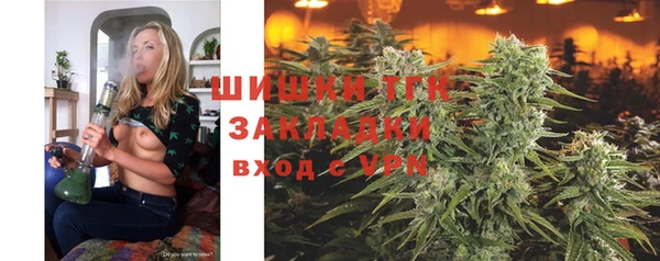 стаф Арсеньев