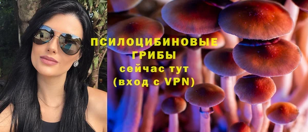 стаф Арсеньев